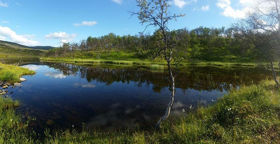 Вілла Mikkelvik Brygge Mikkelvika Екстер'єр фото
